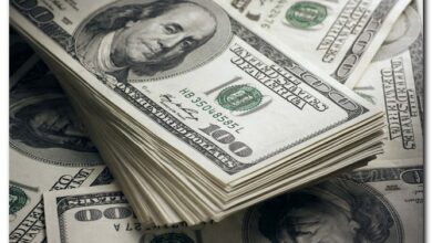 أسعار الدولار في مصر