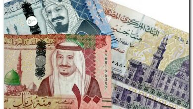 سعر الريال السعودي مقابل الجنيه المصري