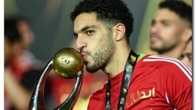 مصطفى شوبير