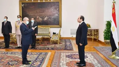 الحكومة الجديدة