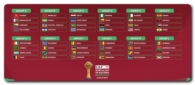كأس أمم إفريقيا