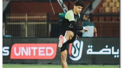 محمد صبحي