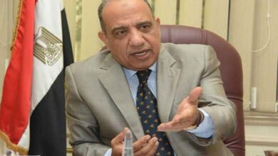 وزير الكهرباء الجديد