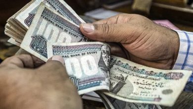 منحة المولد النبوي الشريف