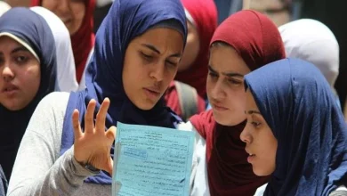 اللغة الأجنبية الثانية