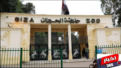 حديقة الحيوان بالجيزة