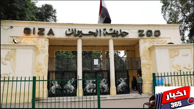 حديقة الحيوان بالجيزة