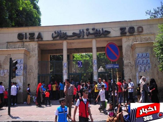 حديقة الحيوان بالجيزة