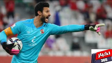 محمد الشناوي