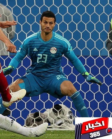 محمد الشناوي