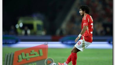 محمد هاني