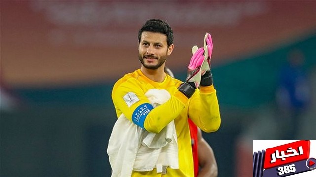 محمد الشناوي