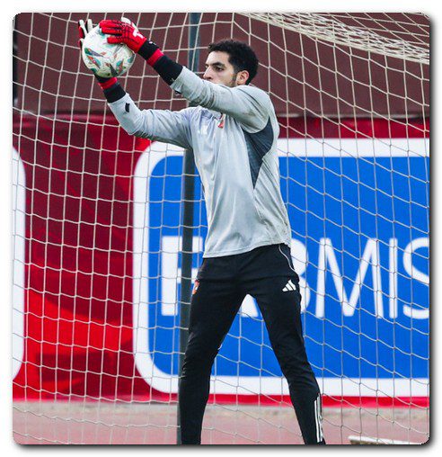 مصطفى شوبير