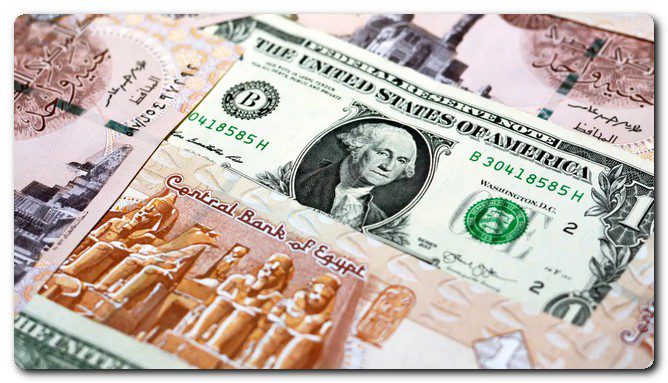 سعر الدولار