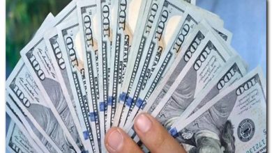 سعر الدولار