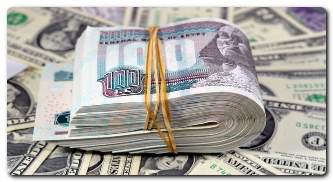 سعر الدولار سعر الدولار