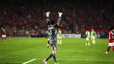 محمد الشناوي