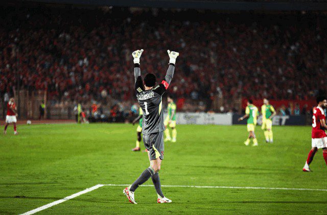 محمد الشناوي