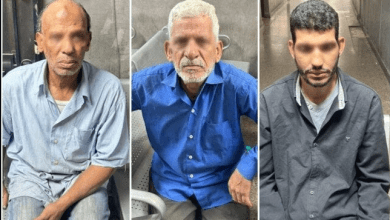 مدرسة سيدز الدولية