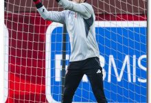 مصطفى شوبير