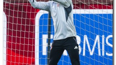 مصطفى شوبير