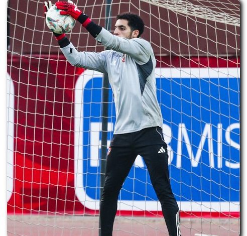 مصطفى شوبير