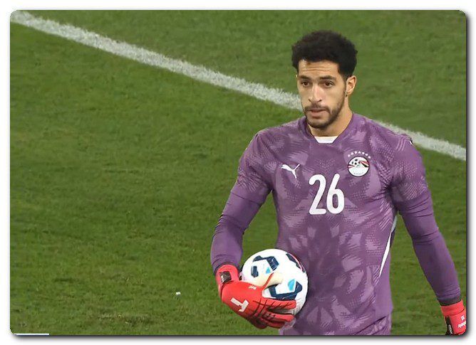 مصطفى شوبير