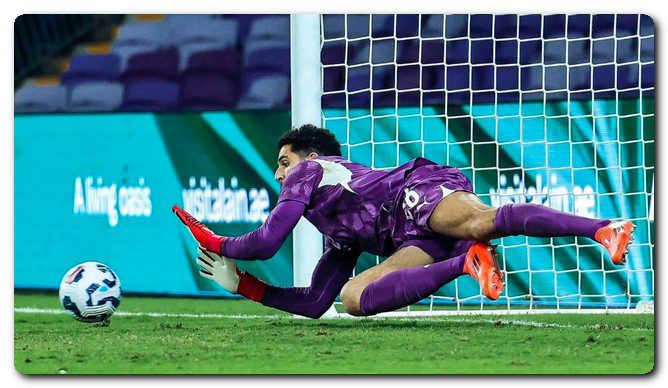 مصطفى شوبير