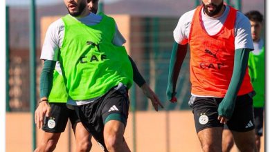 مباراة الجزائر ونيجيريا