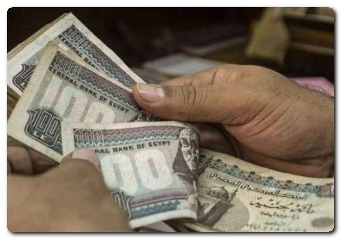 مرتبات شهر فبراير