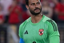 محمد الشناوي