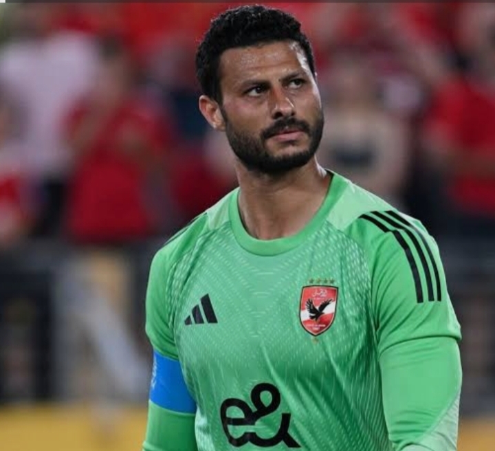 محمد الشناوي