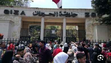 تشغيل حديقة الحيوان