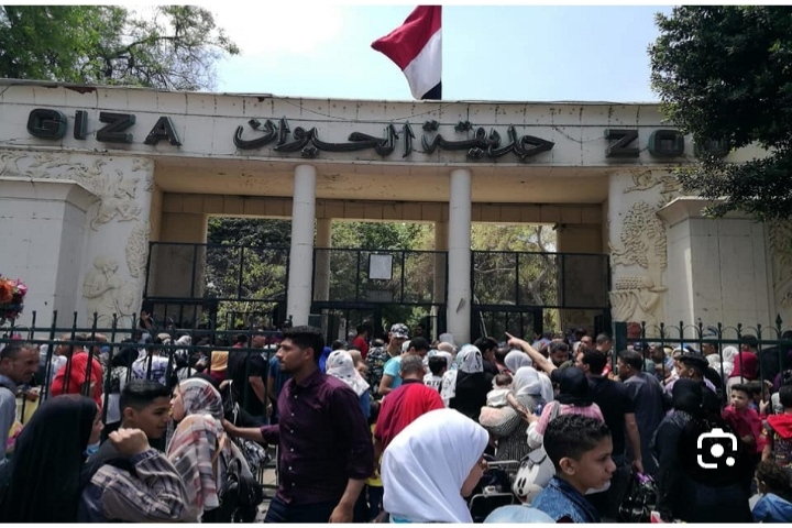 تشغيل حديقة الحيوان