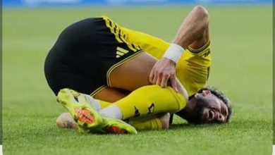 تعليق من وسام