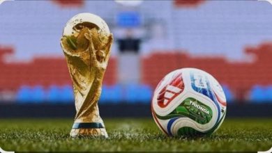 مصر تحقق رقم قياسي