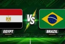 مصر والبرازيل الودية