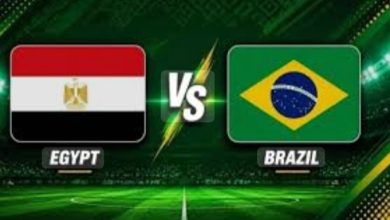مصر والبرازيل الودية