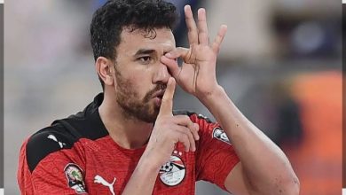 بيع تريزيجيه