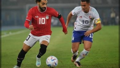 مباراة مصر وبلجيكا