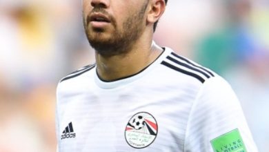 رحيل تريزيجيه